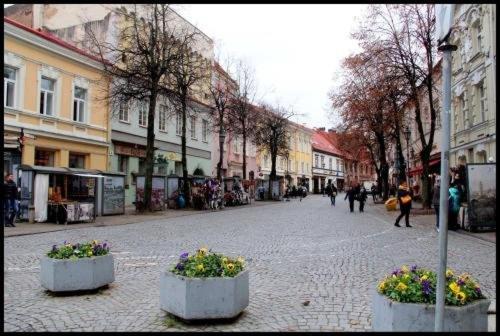 Pogo Hostel Вильнюс Экстерьер фото